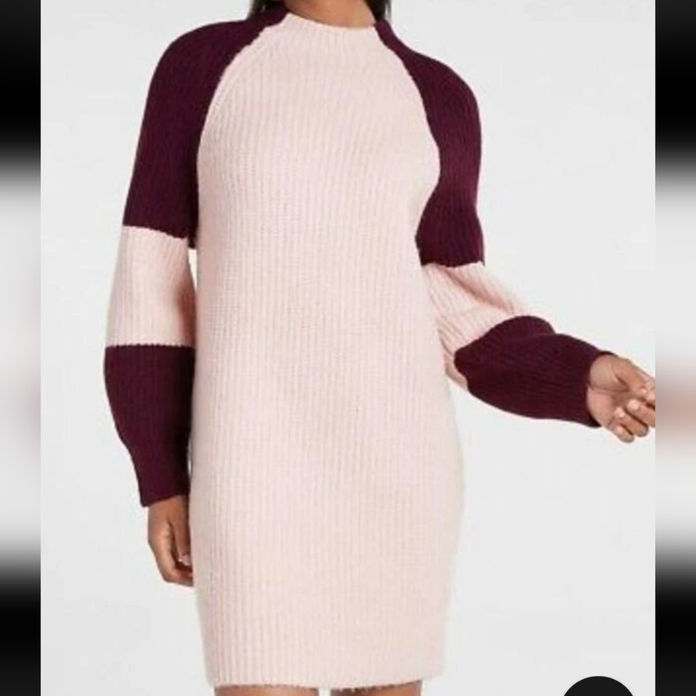 Express Pink and Burgundy Long Sleeve Dress